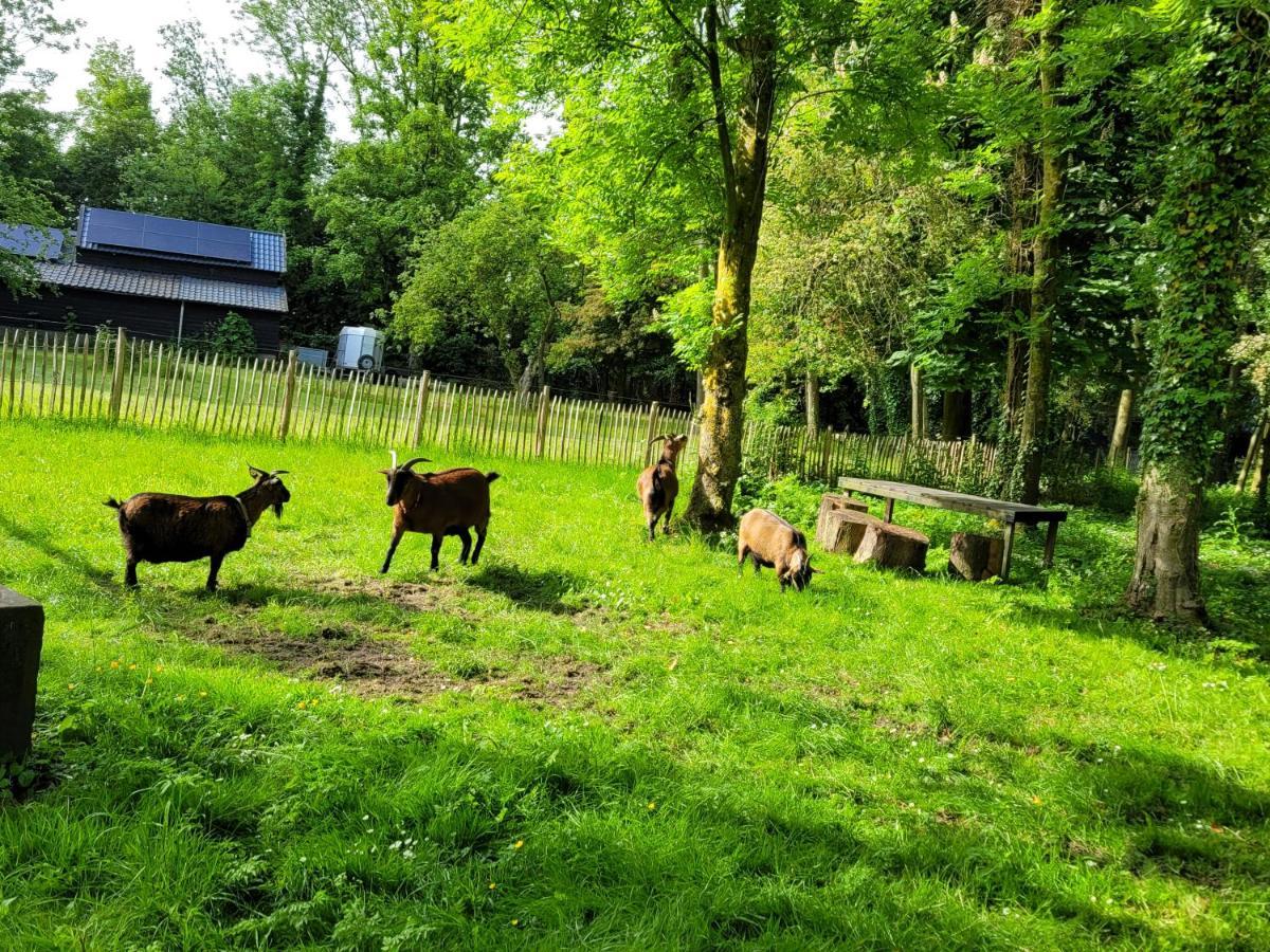 Pastorie Waaxens Bed & Breakfast Bagian luar foto