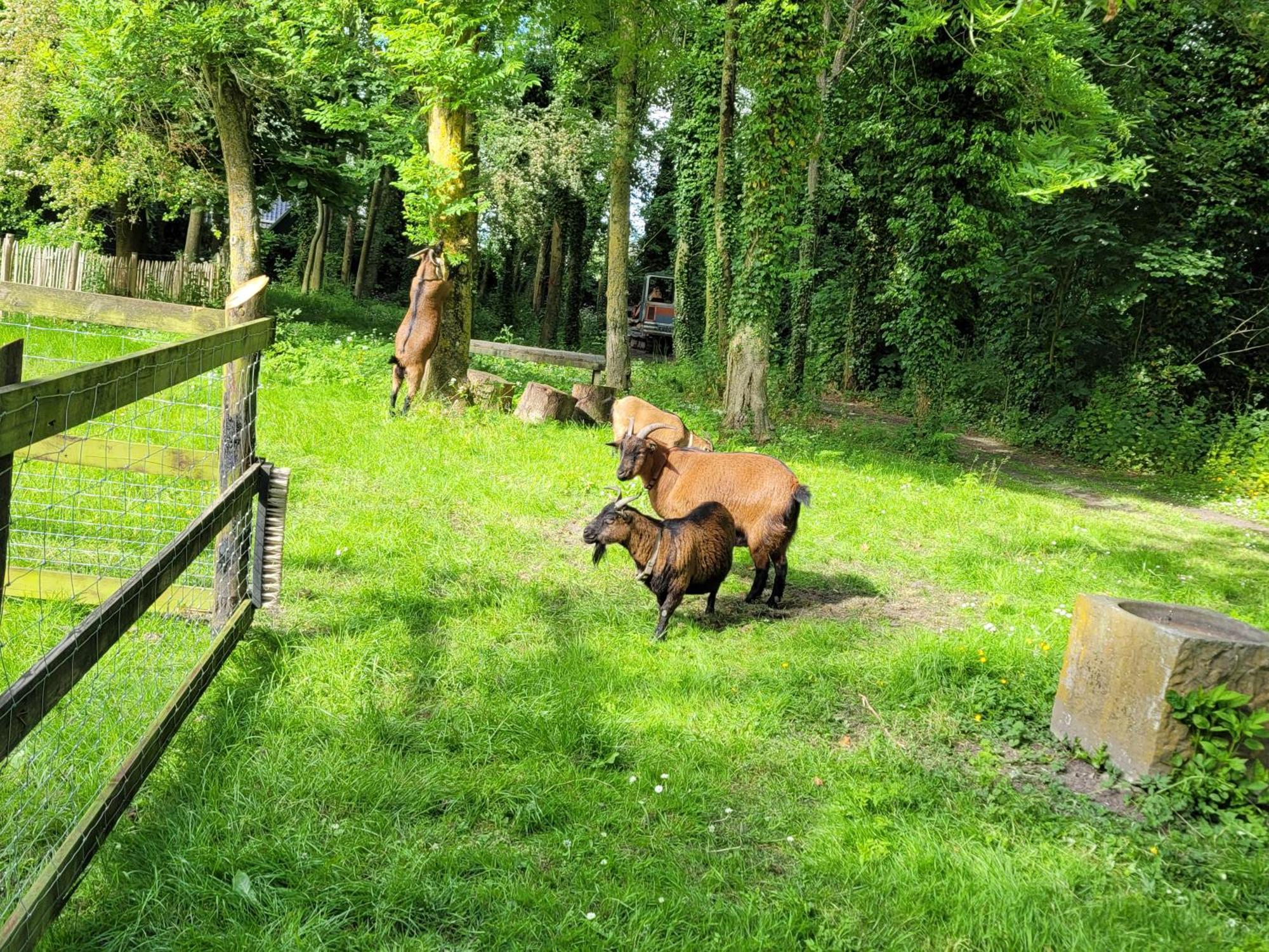 Pastorie Waaxens Bed & Breakfast Bagian luar foto